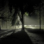 Contemporary fine art photography: moody night landscapes