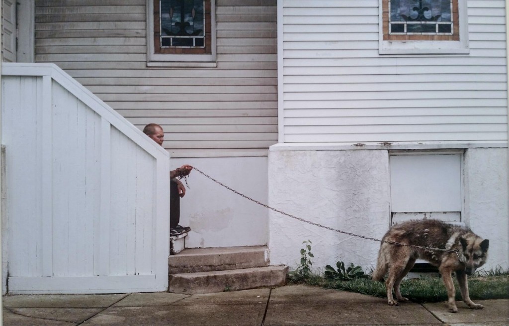 Chelsea Art Season Opens with Strong Photography Shows: Justine Kurland at Mitchell-Innes & Nash 
