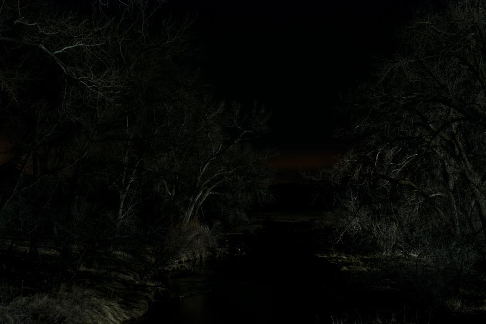 Tree as X-Ray Cutting Through the Night: New Night Landscapes [Photograph] @SteveGiovinco