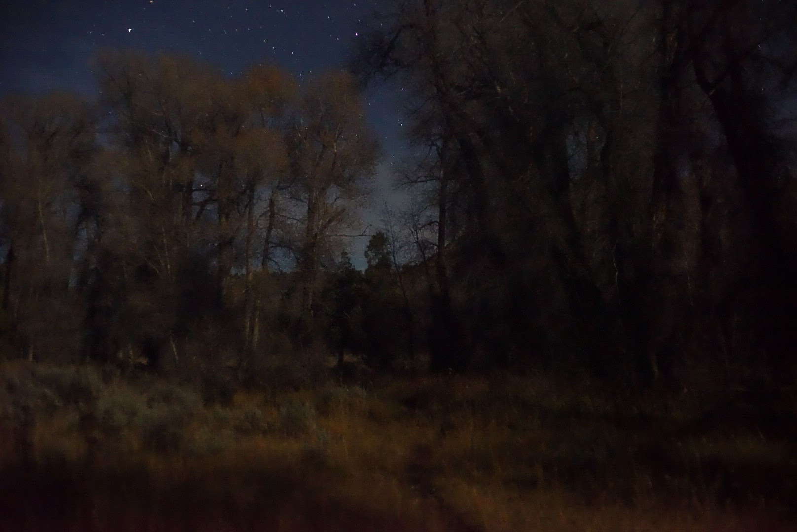 Night landscape photographs trees path, Wyoming, Steve Giovinco