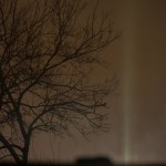 Fine art photography commission (night light/tree) for Monegraph, Steve Giovinco