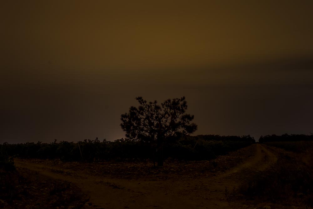 Artist-in-Residence, Rhapsodic Night Landscape Photographs and Exhibition in France: Vinyard