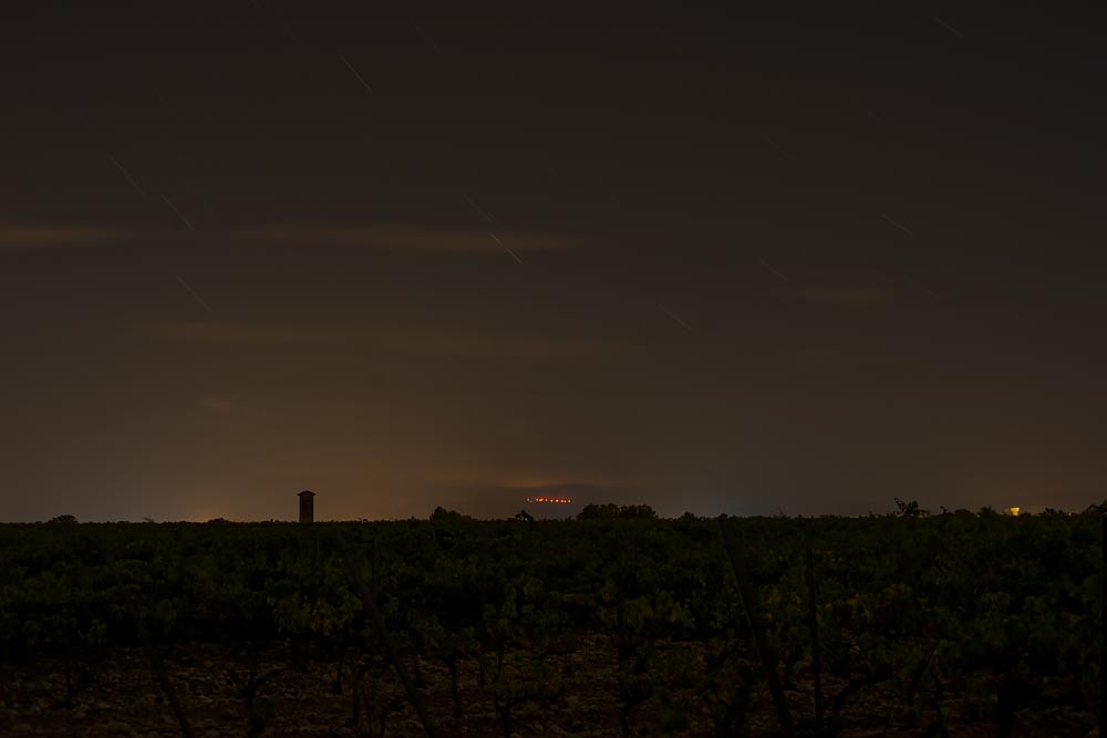 Artist-in-Residence, Rhapsodic Night Landscape Photographs and Exhibition in France: Vineyards West