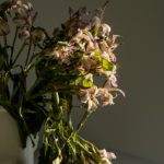 Flowers Fading in Morning Light: Father Project @SteveGiovinco