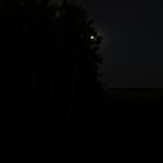 Mysterious Twilight/Night World: Moon on the Farm
