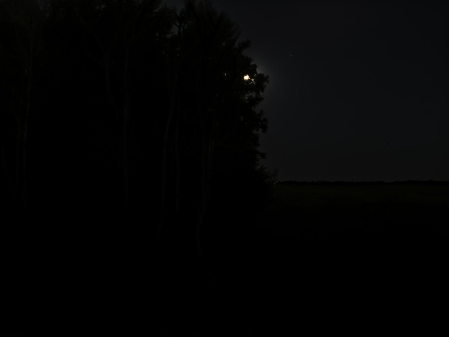 Mysterious Twilight/Night World: Moon on the Farm