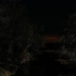 Lyrical Night Landscape Photographs: Trees Like an X-Ray