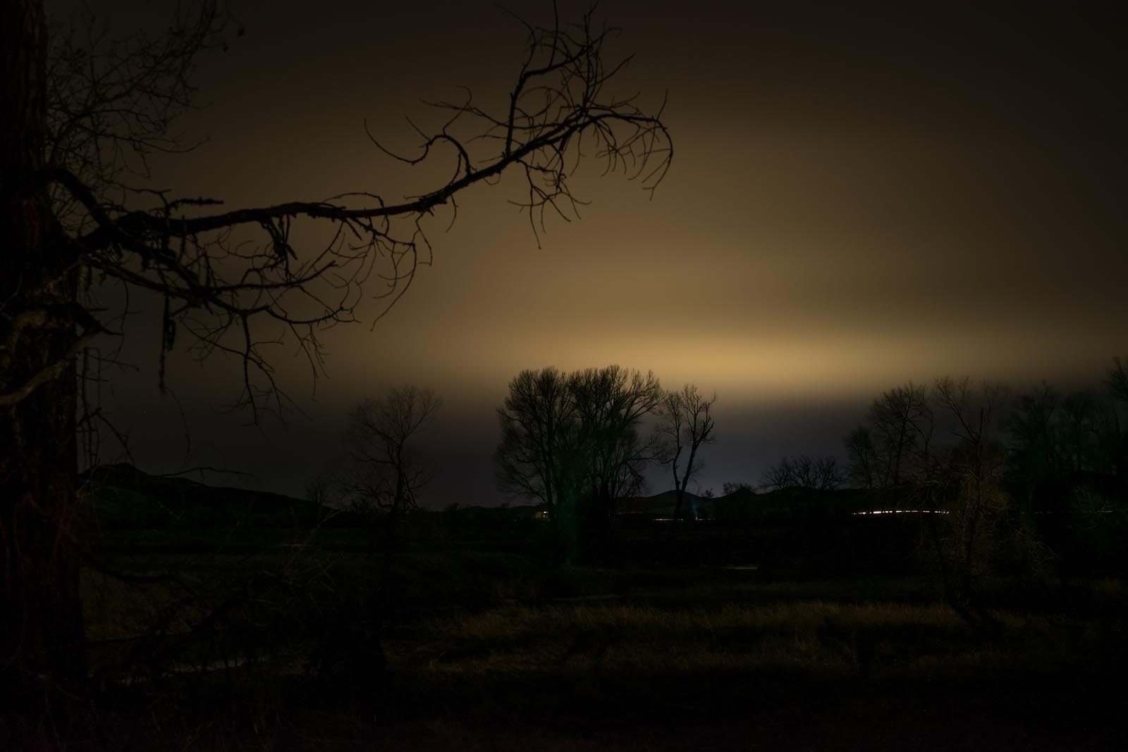 Lyrical Night Landscape Photographs: Trees; Town 30 Miles Glowing