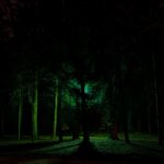 Lyrical Night Landscape Photographs: Green Tree