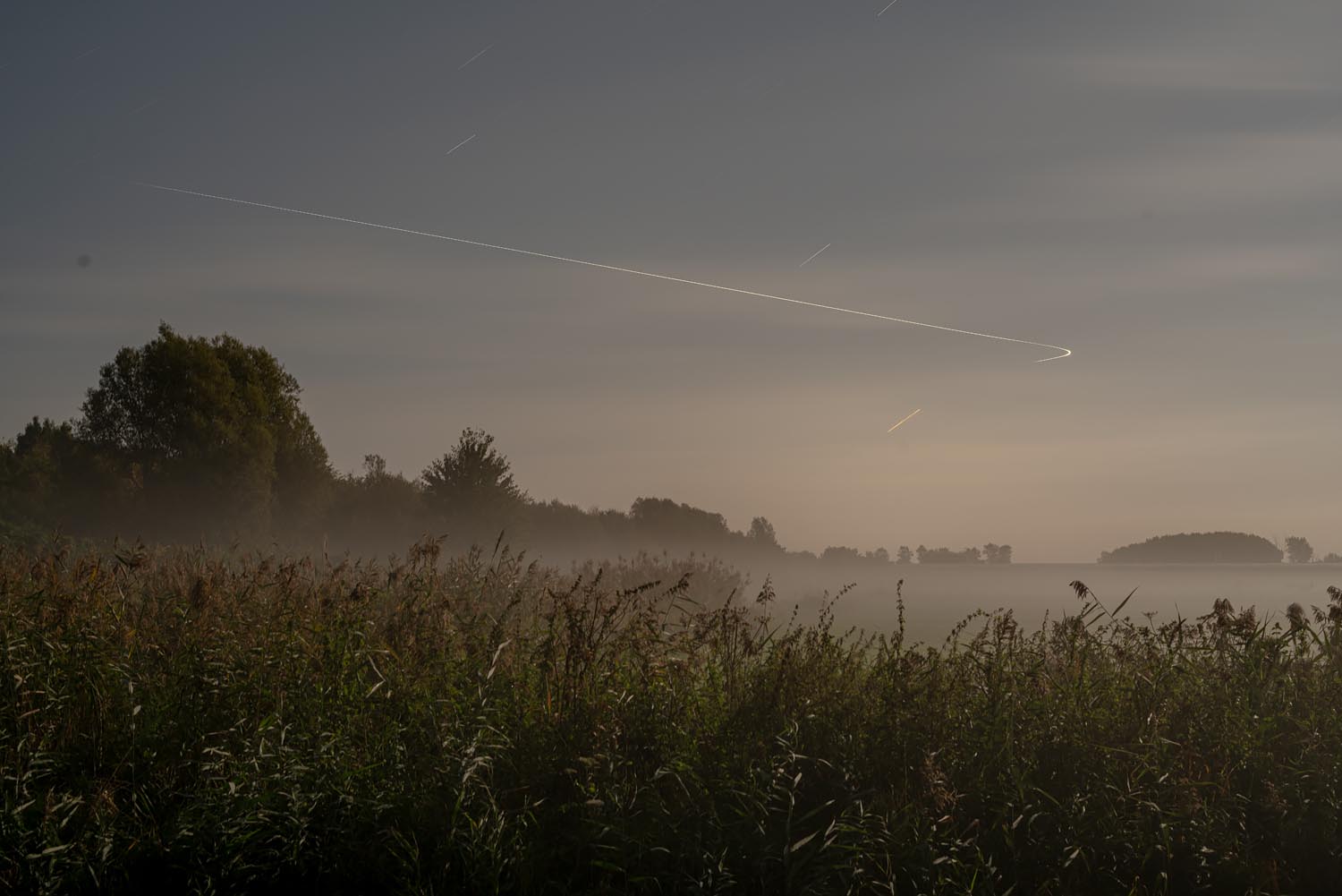 Sites at Risk of Climate Change: Night Landscape Photographs in The Netherlands, Steve Giovinco, Crops Corn in Fog, with Plane Light in Sky, Flevoland