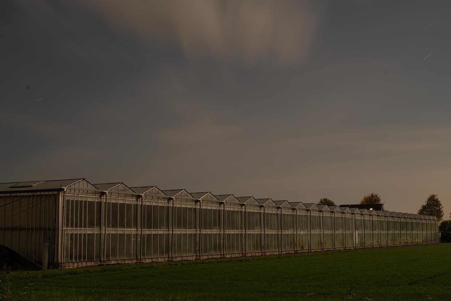 Sites at Risk of Climate Change: Night Landscape Photographs in The Netherlands, Steve Giovinco, Greenhouse Tulips, Factory-Like Building Flevoland